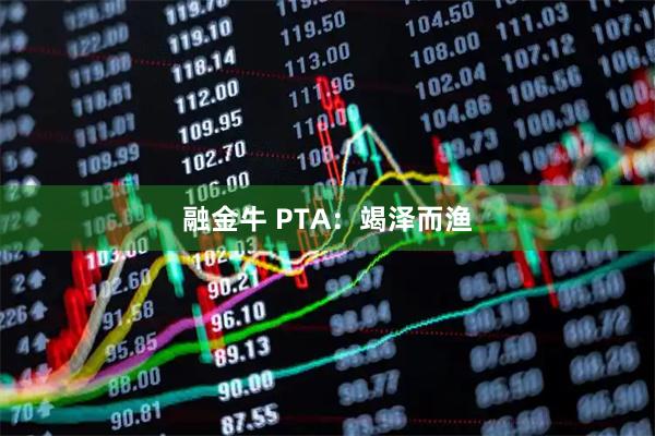 融金牛 PTA：竭泽而渔