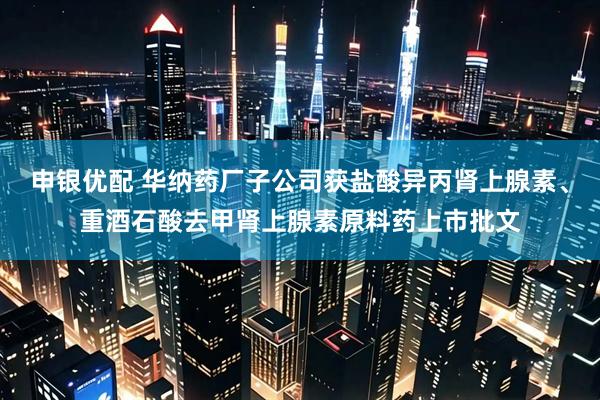 申银优配 华纳药厂子公司获盐酸异丙肾上腺素、重酒石酸去甲肾上腺素原料药上市批文