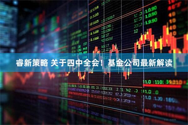 睿新策略 关于四中全会！基金公司最新解读
