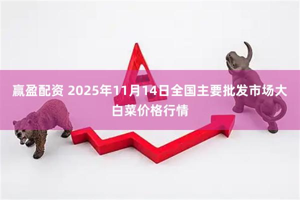 赢盈配资 2025年11月14日全国主要批发市场大白菜价格行情